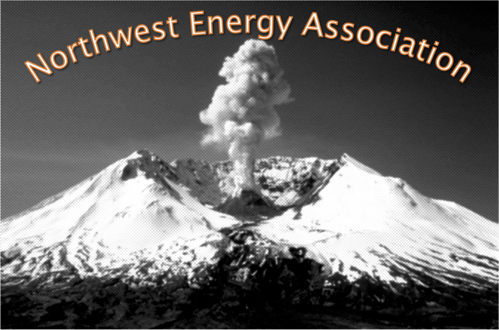 Image result for Northwest Energy Association